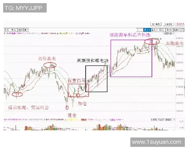 南方钢铁与中央脉搏72的对决分析与市场前景展望 南方钢铁与中央脉搏72的对决分析与市场前景展望