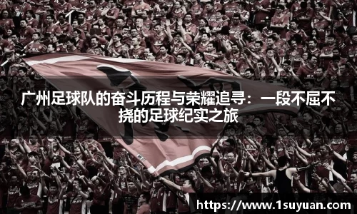 bsports登录入口