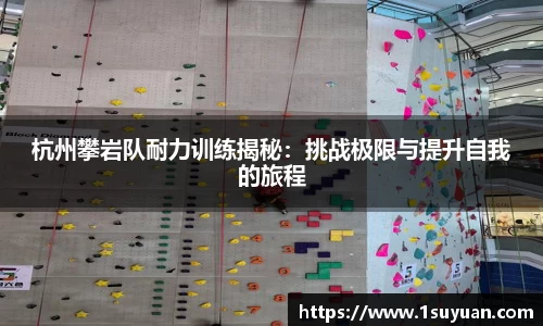 bsports官网入口