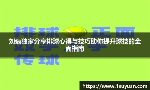 bsports登录入口
