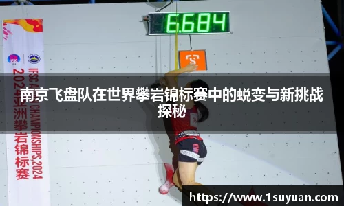 Bsports网页版