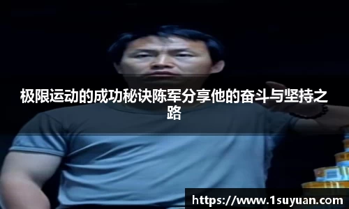 bsports登录入口