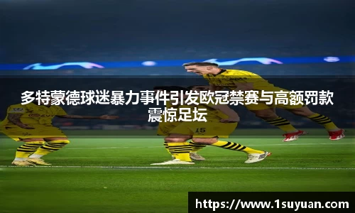 多特蒙德球迷暴力事件引发欧冠禁赛与高额罚款震惊足坛