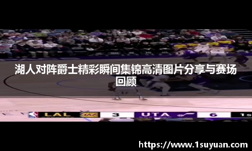 bsports登录入口
