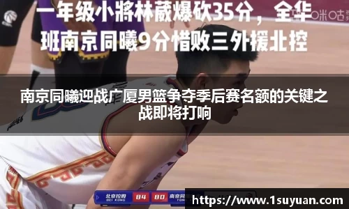 bsports登录入口