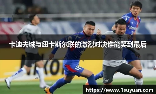 Bsports网页版