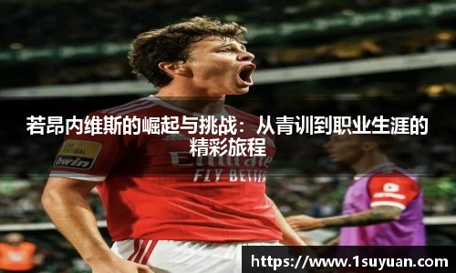 若昂内维斯的崛起与挑战：从青训到职业生涯的精彩旅程