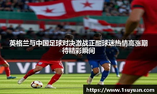 bsports官网入口