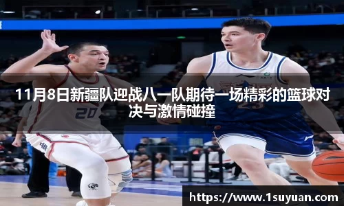 bsports官网入口