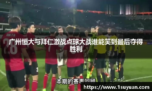 bsports登录入口
