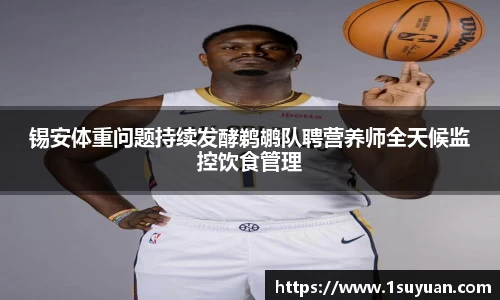 Bsports网页版