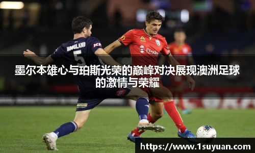 bsports官网入口