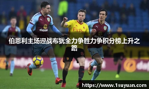 bsports登录入口