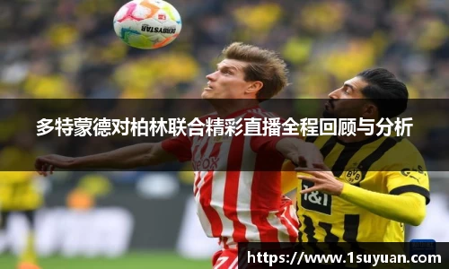 bsports官网入口