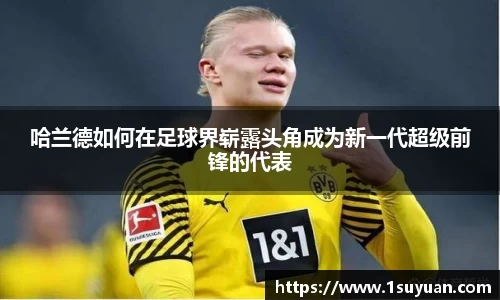 bsports登录入口