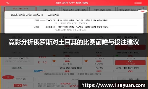 bsports官网入口