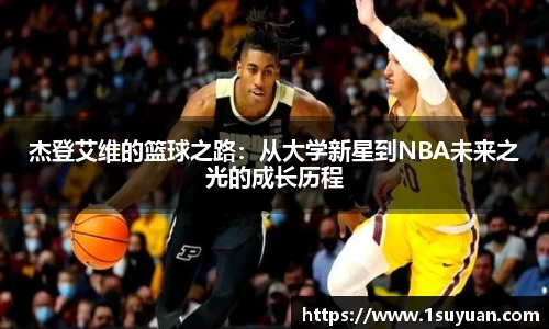bsports官网入口