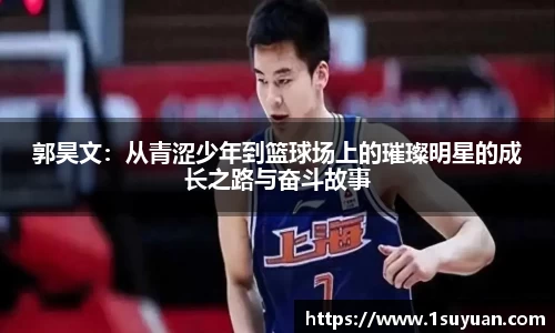 bsports官网入口