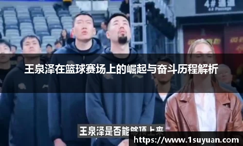 bsports登录入口