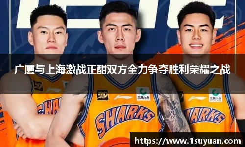 bsports
