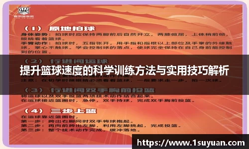 bsports登录入口